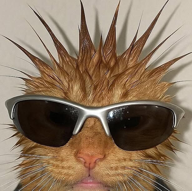 C'atoh "Is That Tony Hawk" Tariku